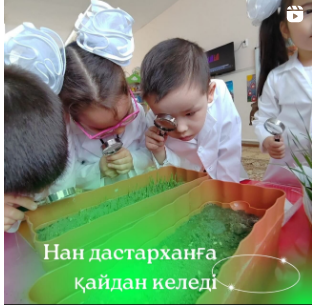 "Балапан" тобы Оразымбетова Г. "Ұн және ұнның қасиеті" "Нан дастарханға қайдан келеді"